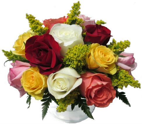 A Rainbow of Fresh Roses arranged in a bubble bowl.